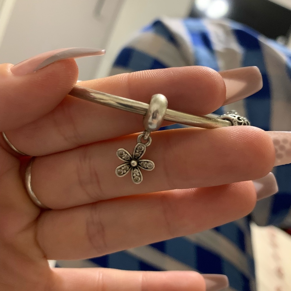 Pandora charm